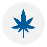 AI for Multi-Industries