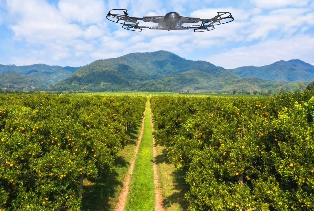 Fruit Production Drone