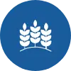 Agricultura e plantações