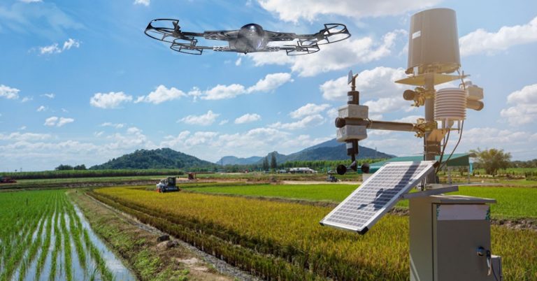 Drone Technology Transforming Smart Farming and Plantation